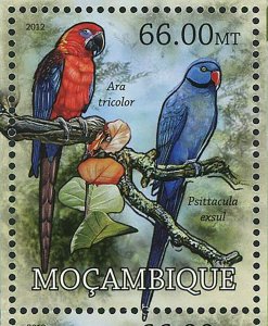 Parrots Stamp Bird Psittacula Wardi Cyanoramphus Ulietanus S/S MNH #5846-5849