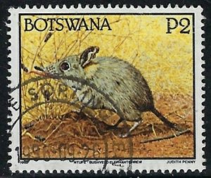 Botswana 533 Used 1992 issue (fe8092)