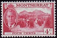Montserrat SG#126 Mint - 1951 4c.  - Agriculture and Farming