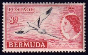 Bermuda Scott 153 Mint never hinged.