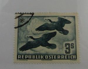 1953 Austria SC #C57 Rooks Birds  Airmail used stamp