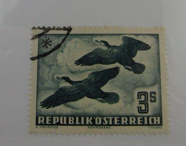 1953 Austria SC #C57 Rooks Birds  Airmail used stamp