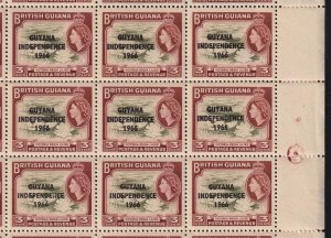 Guyana 1966-67 QEII 3c Independence - Lilies Mint MNH Block of 9 SG 379