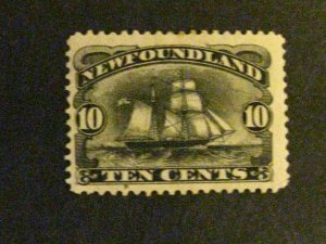 Newfoundland #59 unused no gum a1910.9796