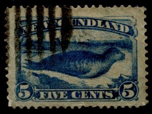 Newfoundland #53 Harp Seal Used