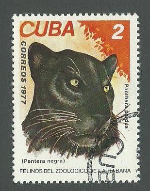 1977 Cuba Scott Catalog Number 2168 Used