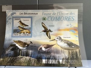 Comoro Islands 2009 Birds mint never hinged stamp sheet R24049