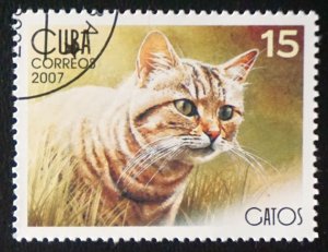CUBA Sc# 4675 CATS  CATS CATS!  domestic feline pet 15c  2007 used cto