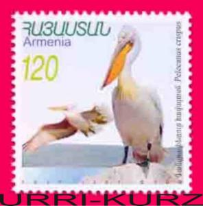 ARMENIA 2007 Nature Fauna Birds Pelican 1v Mi627 MNH