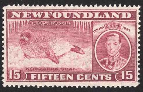 Canada Newfoundland Sc# 239 MNH 1937 15c Long Coronation Issue
