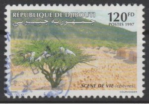 Djibouti Djibouti 1997 Mi. 643 obl. RARE Flora Flora Tree Life Scene-