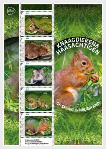 The Netherlands / Nederland - Postfris/MNH - Sheet Rodents and Hares 2024