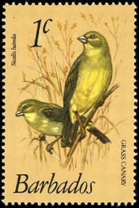 BARBADOS Sc 495 VF/MNH - 1979 1¢ Grass Canaries