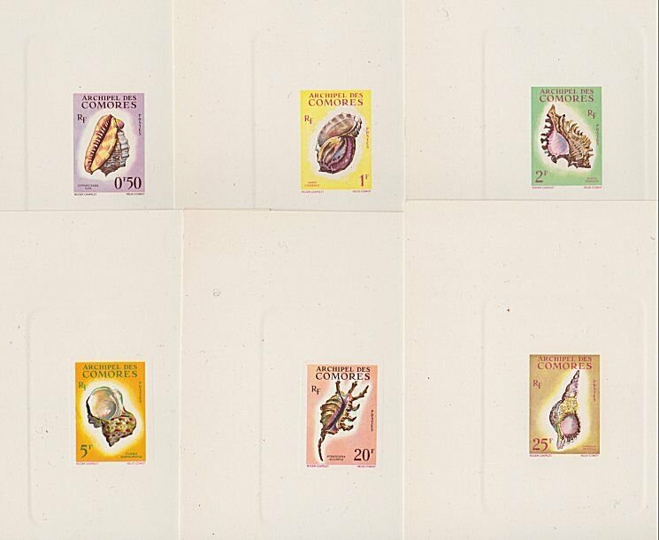 COMORES 1962 SHELLS set of 6 large die proofs on card.......................B900