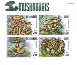 SIERRA LEONE - 2015 - Mushrooms - Perf 4v Sheet - Mint Never Hinged