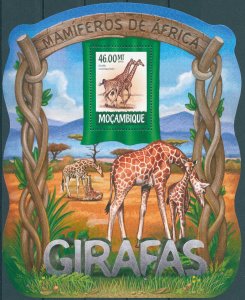 Mozambique 2015 MNH Wild Animals Stamps Giraffes Giraffe 1v S/S IV