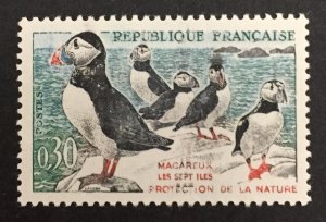 France 1960 #979, Puffin, MNH.