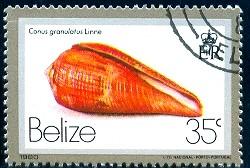 Shell, Conus Granulatus, Belize stamp SC#480 used