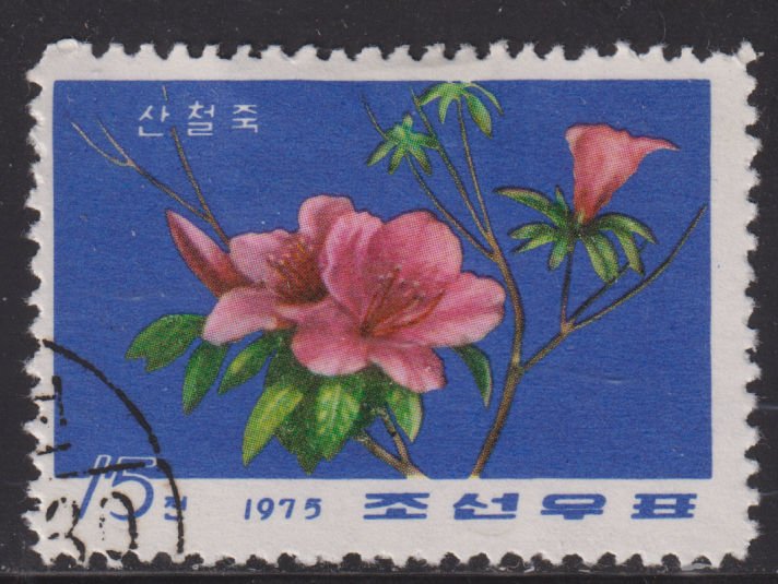 North Korea 1375 Mountain Rhododendron 1975