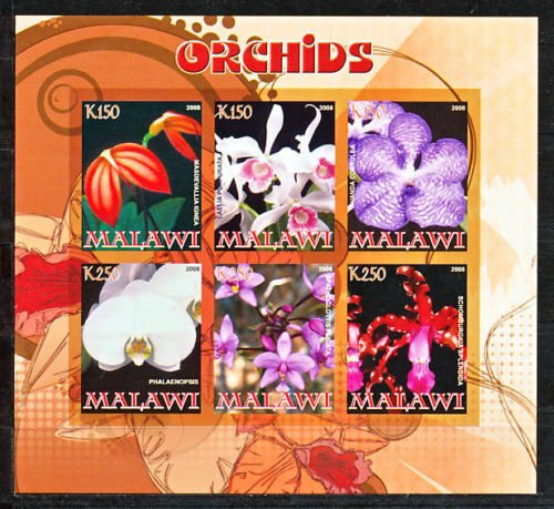 Malawi 2008 M/S Orchids Flower Plant Nature Flora Flowers Stamps MNH imperf RARE