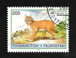 Tajikistan 1996 - FDI - Scott #96