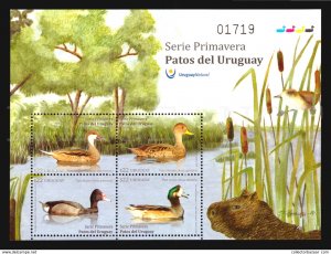 2018 new issue Duck s/s birds native of Uruguay  s/s MNH