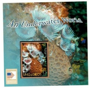 Turks And Caicos - 2006 - UNDERWATER WORLD - Souvenir Sheet - Stamps - MNH