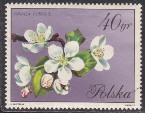 Poland 1862 Pear Blossom 1971