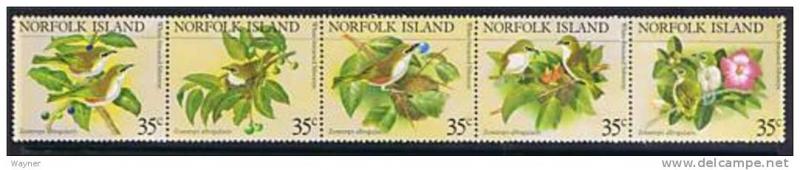  Norfolk Isl. 1981 white breasted silver eye Scott 287 MNH 