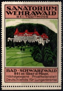 Vintage Germany Poster Stamp Sanatorium Wehrawald in Todtmoos