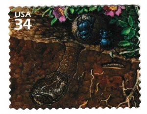 US 3506i Great Plains Prairie Plains spadefoot 34c single MNH 2001