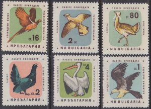 BULGARIA Sc# 1149-54 CPL MNH SET of 6 DIFF  - VARIOUS BIRDS (CHICKENS)