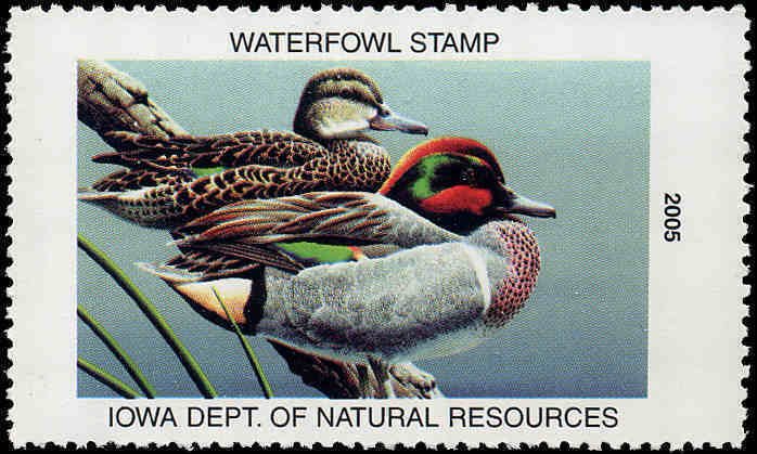 IOWA #34 2005 STATE DUCK STAMP GREEN WINGED TEAL by Neal Anderson