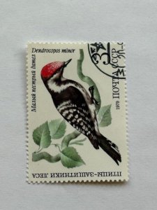 Russia – 1979 – Single “Bird” Stamp – SC# 4777 – CTO