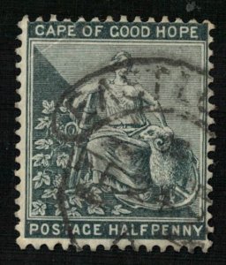 Hope 1/2 penny South Africa (T-9217)