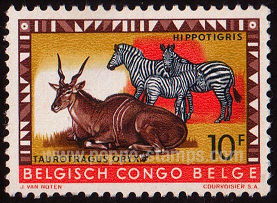 Belgian Congo SG#350 Mint - 1959 10f.  - Animals, Zebras