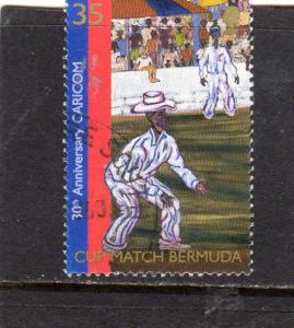 Bermuda World Cup Cricket used