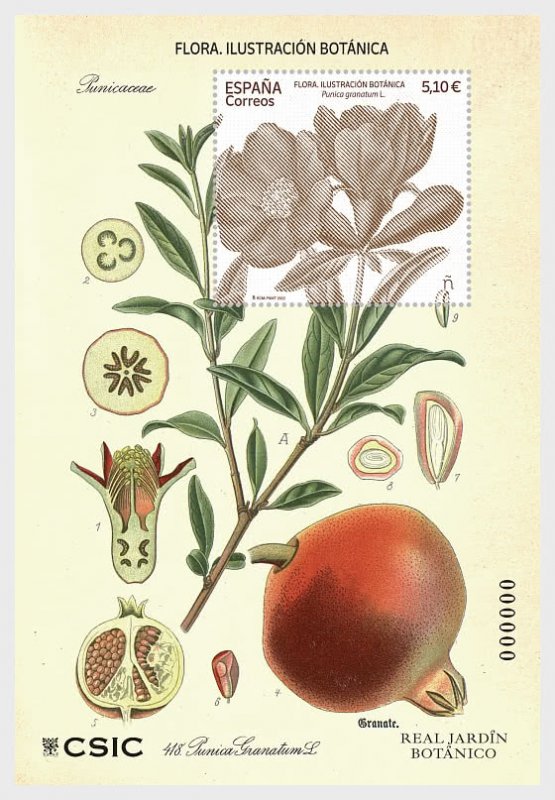 Spain / Spanje - Postfris/MNH - Sheet Botanical Illustration 2022