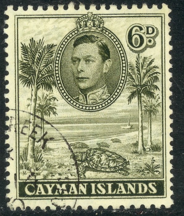 CAYMAN ISLANDS 1938-43 KGVI 6d TURTLES P.11 1/2 x 13 Pictorial Sc 107a VFU