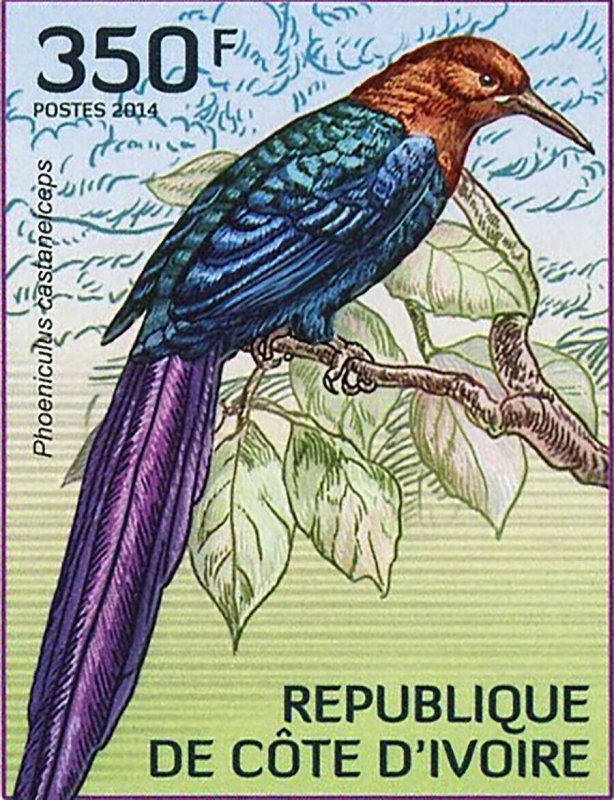 Birds Stamp Phoeniculus Purpureus Phoeniculus Castaneiceps S/S MNH #1564-1567