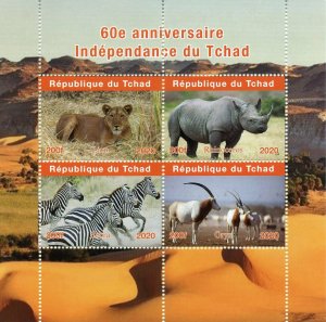 Chad Wild Animals Stamps 2020 MNH Independence Lions Rhinos Zebras Oryx 4v M/S