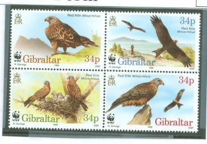 Gibraltar #716