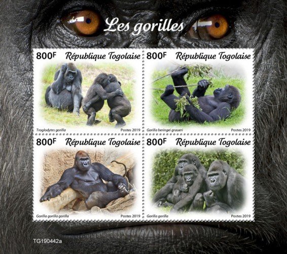 TOGO - 2019 - Gorillas - Perf 4v Sheet  - M N H