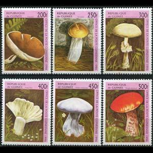 GUINEA 1996 - Scott# 1347-52 Mushrooms Set of 6 NH