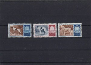 SAN MARINO  MOUNTED MINT OR USED STAMPS ON  STOCK CARD  REF R935