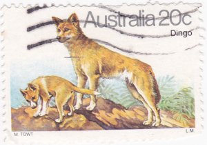 Australia 1980 Dogs - Dingo 20c used