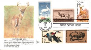 #2317 White-tailed Deer Combo Gillcraft FDC