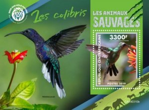 Central Africa - 2019 Wild Animals Hummingbirds - Souvenir Sheet - CA190310b