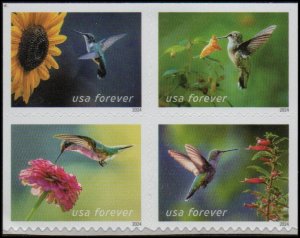 United States sw6271-74 - Mint-NH - (68c) Hummingbirds (2024) (cv $5.40)