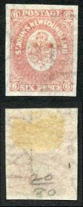 Newfoundland SG20 6d Rose Wmk (ST)CEY M/M